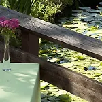 Du Manet